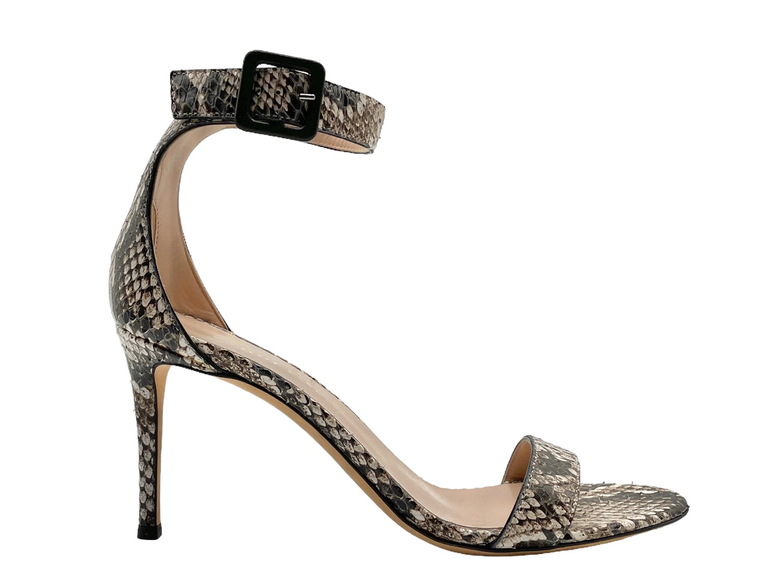 Giuseppe Zanotti - E900147 (Snake)