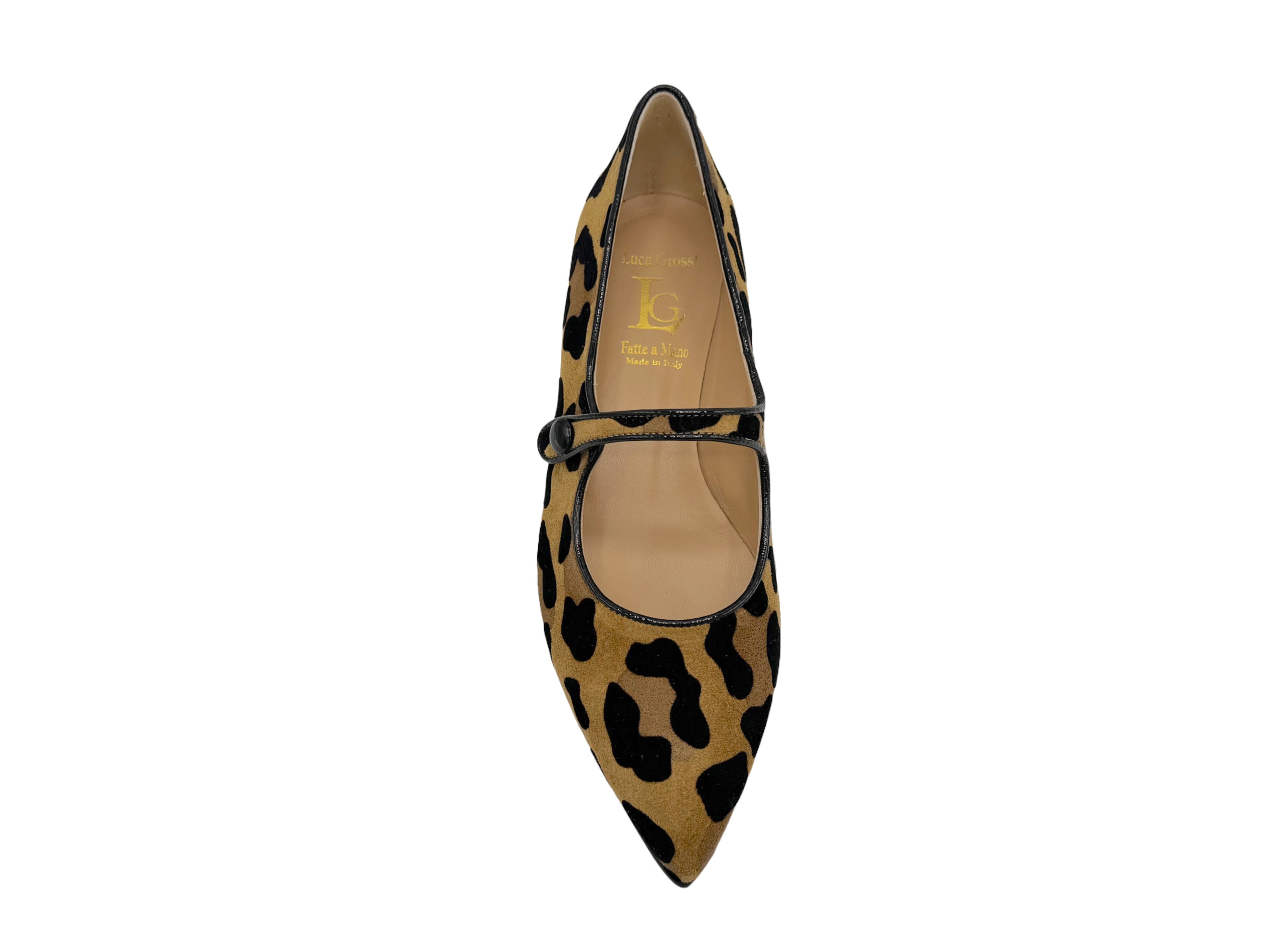 Luca Grossi - CH981 (Leopard)