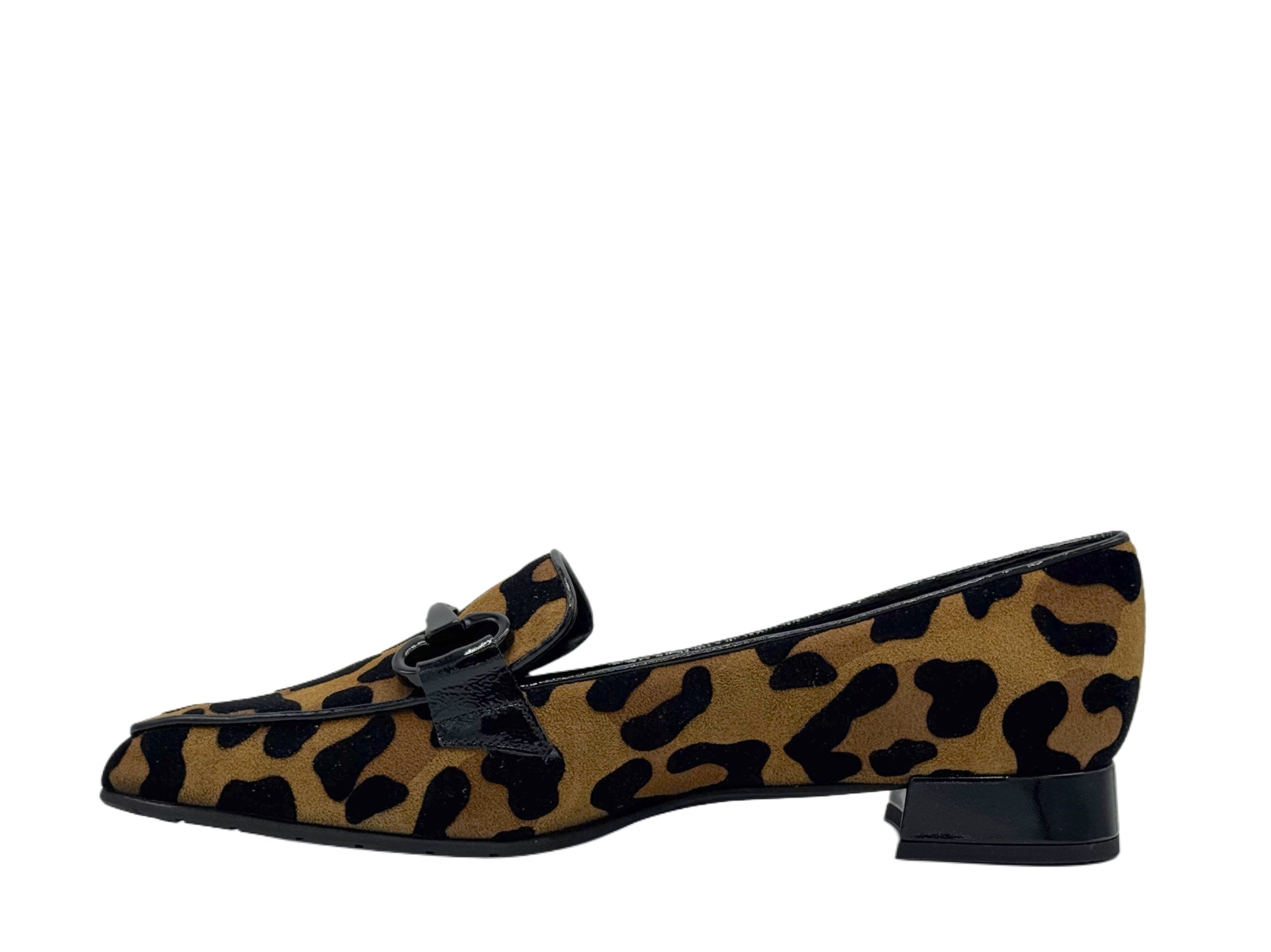Luca Grossi - CH678 (Leopard)