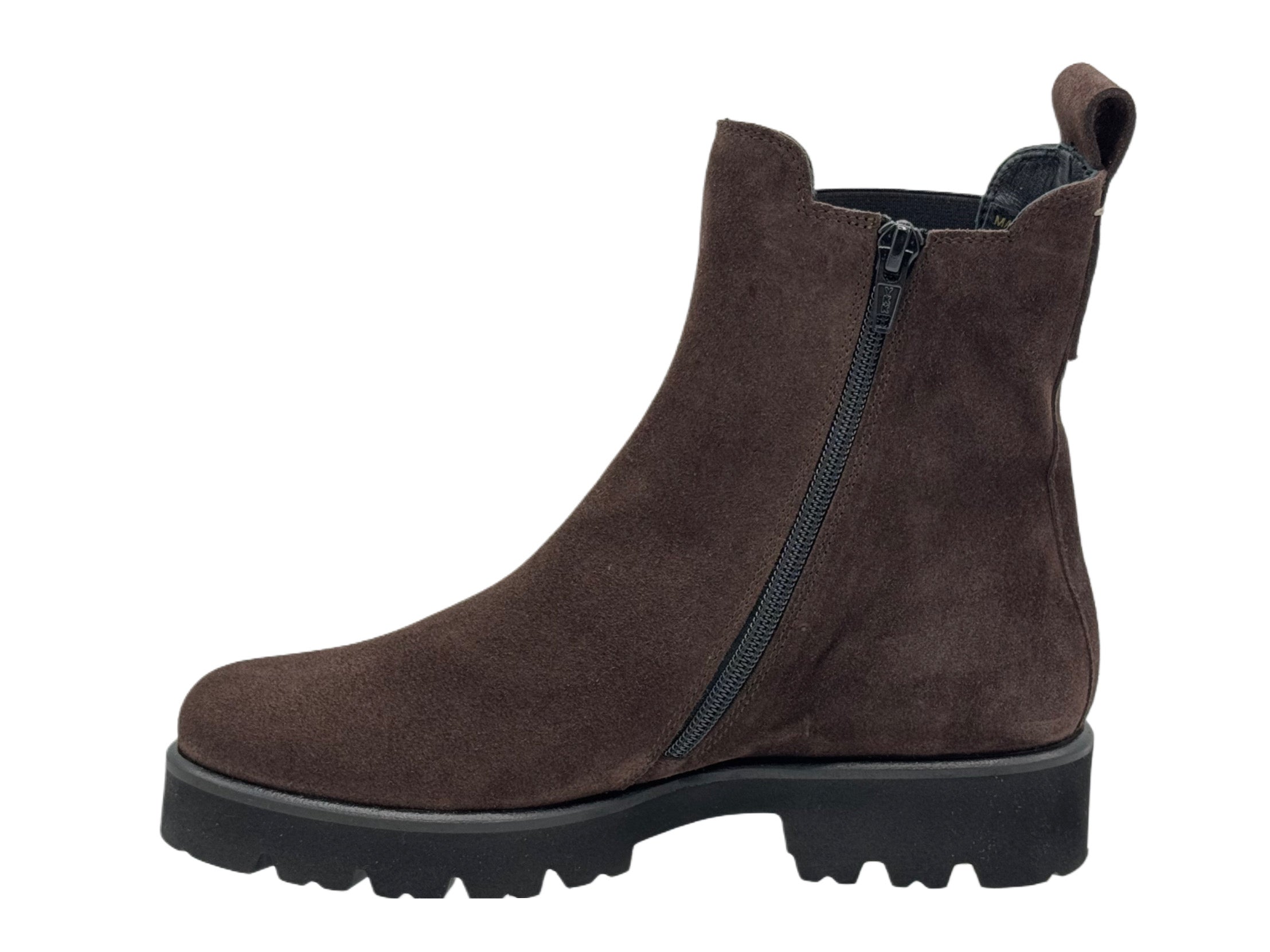 Donna Carolina - 682378 (Brown)