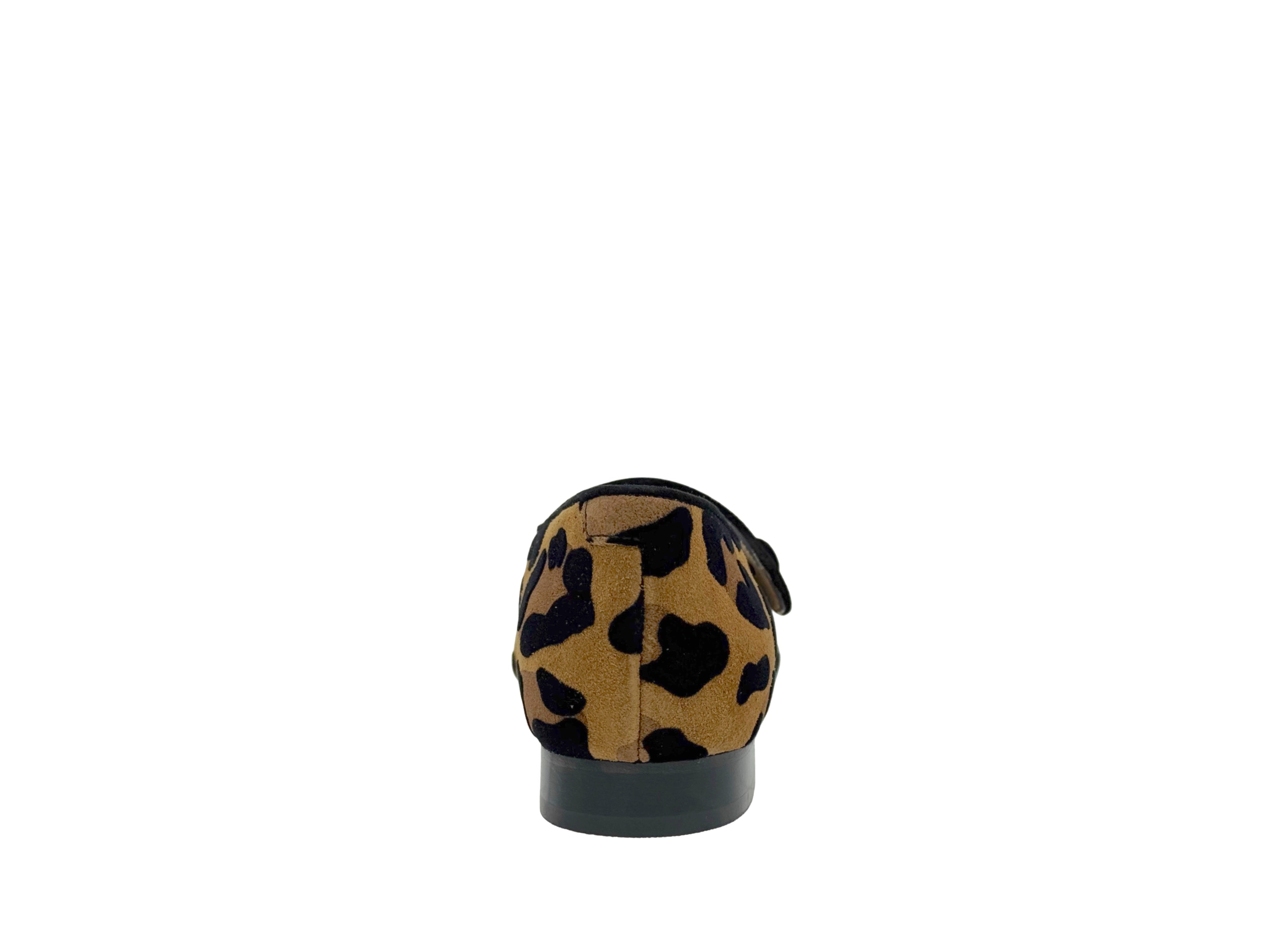 Luca Grossi - CH981 (Leopard)