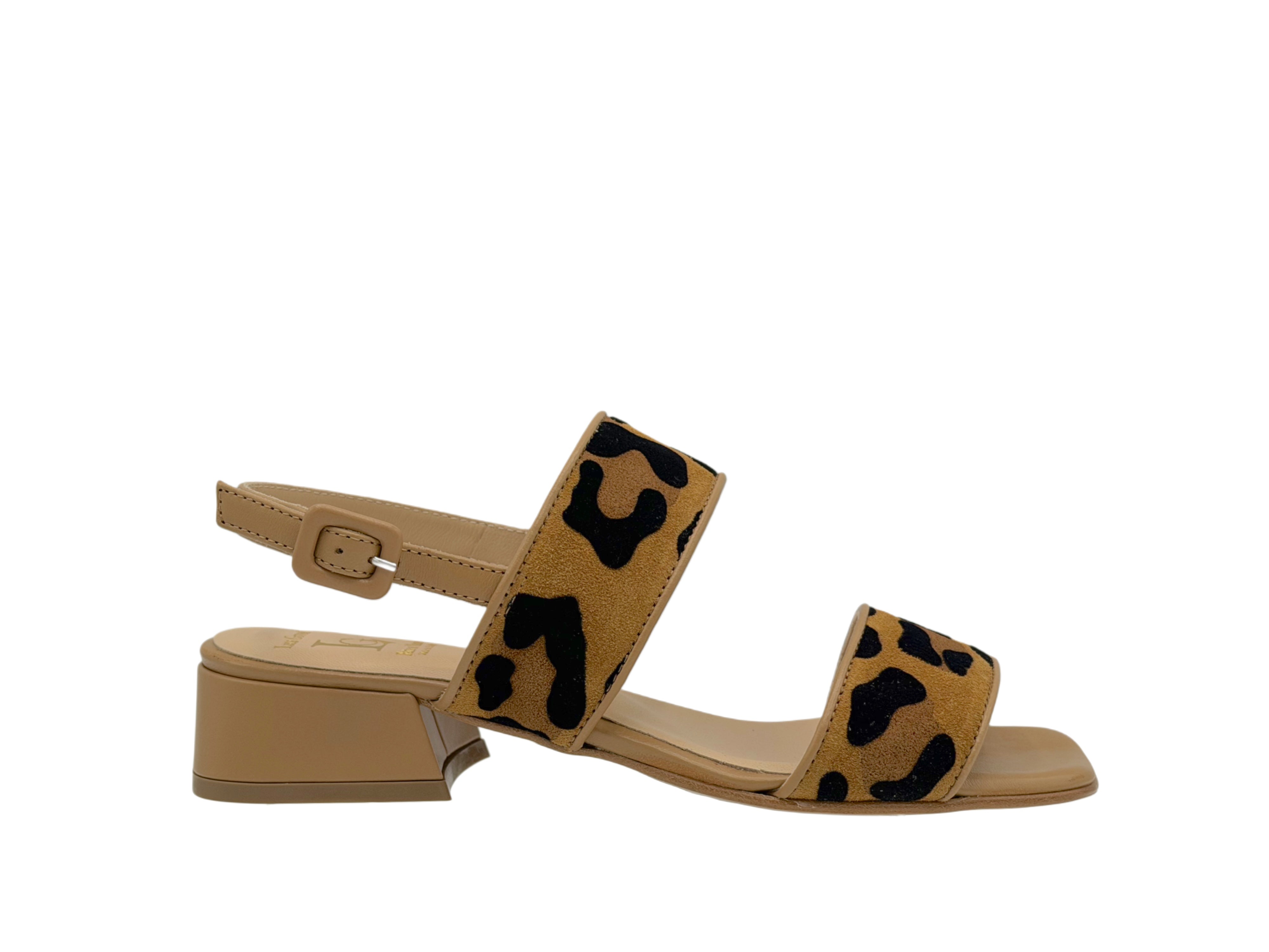 Luca Grossi - G648 (Leopard)