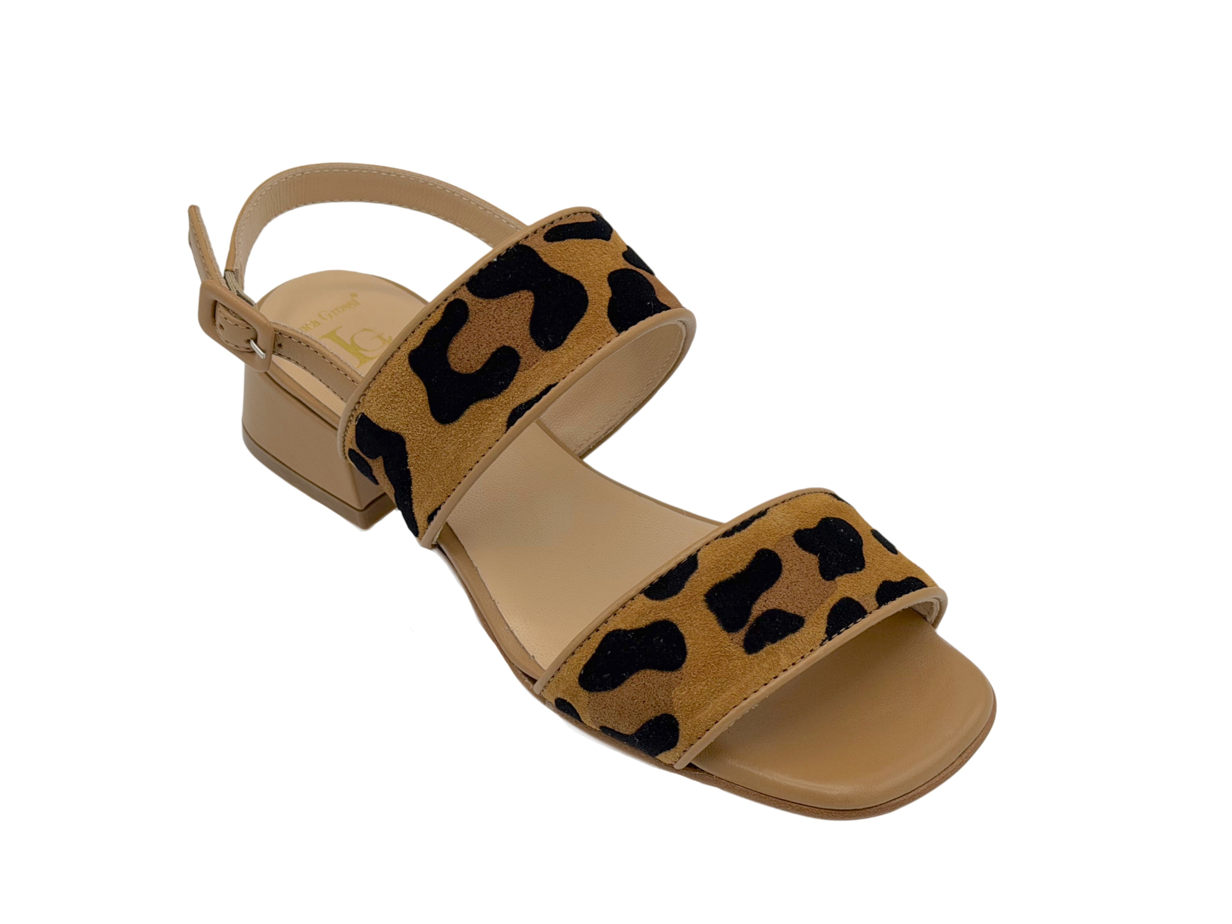 Luca Grossi - G648 (Leopard)