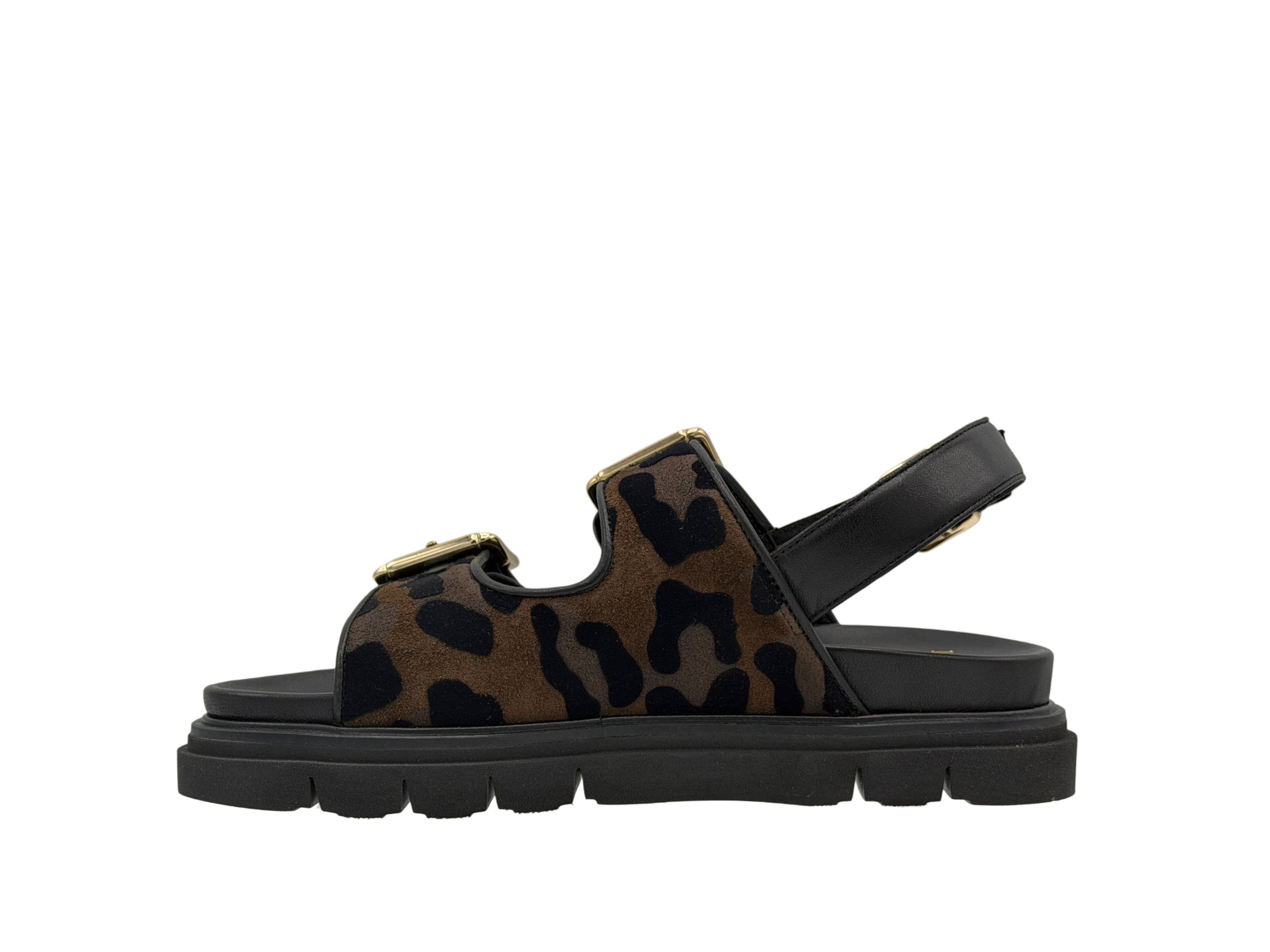 Luca Grossi - L253S (Leopard)